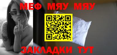индика Гатчина