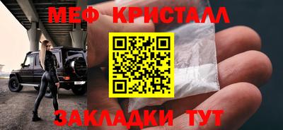 индика Гатчина