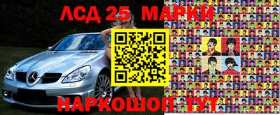 индика Гатчина