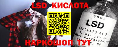 индика Гатчина