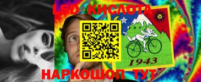 индика Гатчина