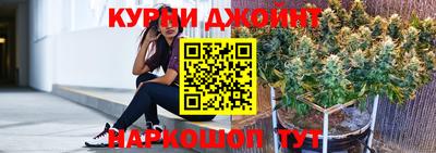индика Гатчина