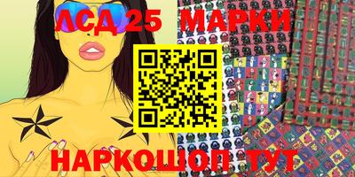 индика Гатчина