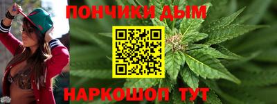 индика Гатчина