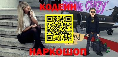 индика Гатчина